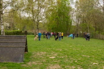 hundeverstehenlernen-training-01.jpg