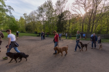 hundeverstehenlernen-training-14.jpg