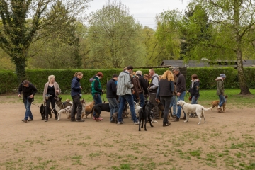 hundeverstehenlernen-training-06.jpg