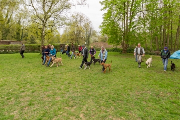 hundeverstehenlernen-training-08.jpg