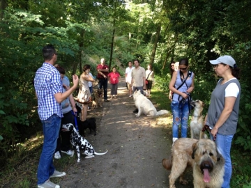 hundeverstehenlernen-training-22.jpg