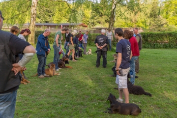 hundeverstehenlernen-training-13.jpg