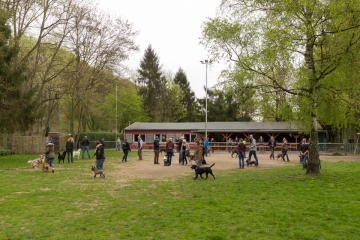 hundeverstehenlernen-training-03.jpg