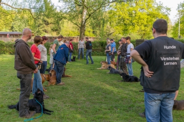 hundeverstehenlernen-training-12.jpg